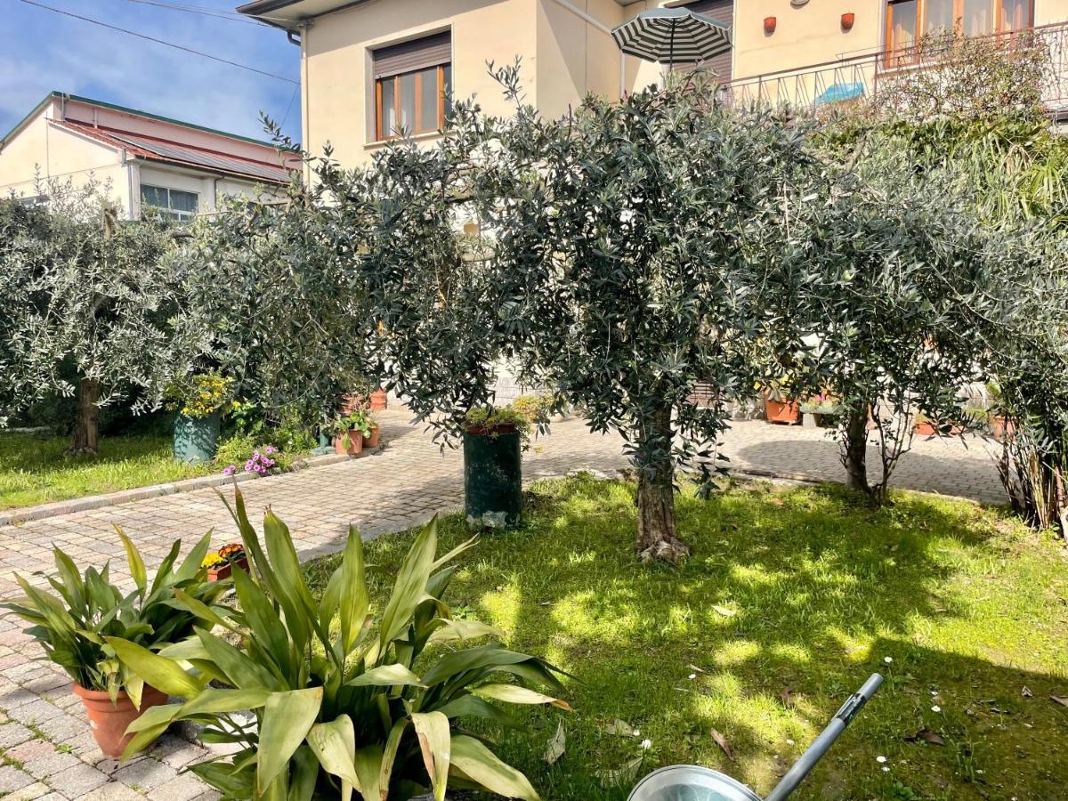 Ferienwohnung Casa La Palma Vecchiano Exterior foto